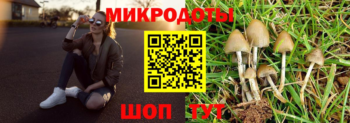 Ачхой-Мартан  Галлюциногенные грибы Magic Shrooms  Вход с VPN 