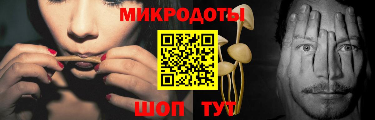 Галлюциногенные грибы ЛСД Ачхой-Мартан